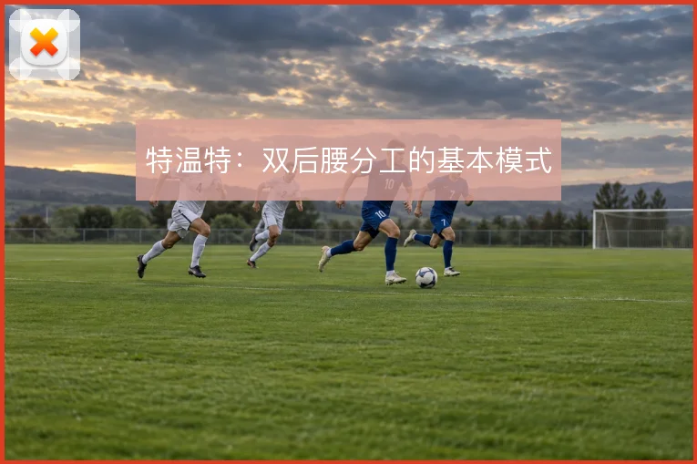 特温特:双后腰分工的基本模式