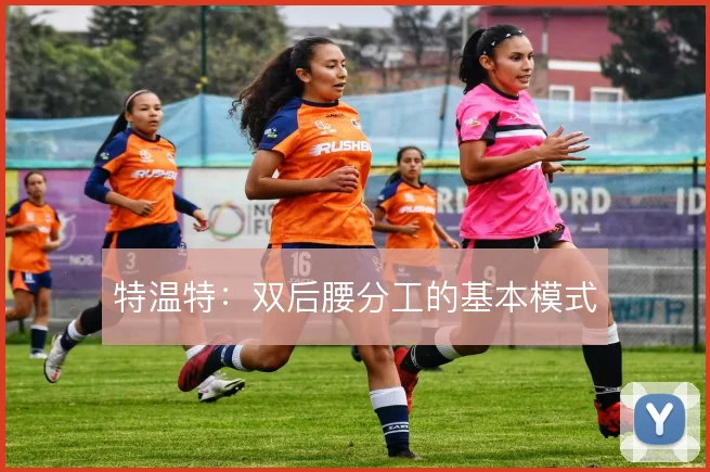 特温特:双后腰分工的基本模式